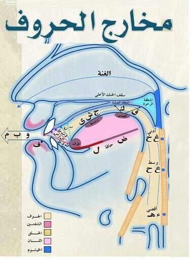 apprendre tajwid la bonne prononciation des lettres arabes